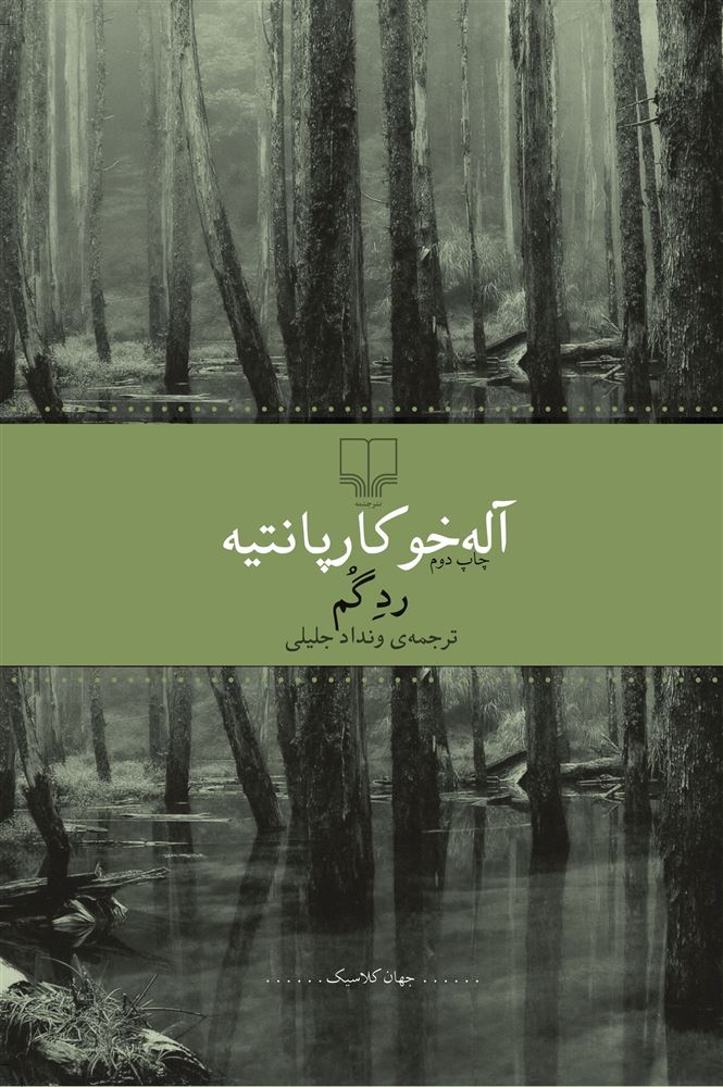 تصویر رد گم