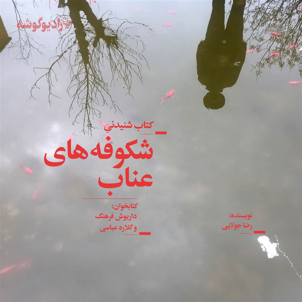 Picture of شکوفه‌های عناب