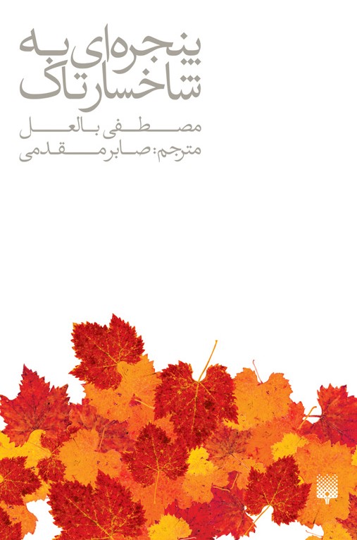 Picture of پنجره‌ای به شاخسار تاک