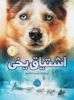 پرتقال/اشتیاق یخی/cover.jpg