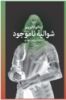 چشمه/شوالیه‌ی ناموجود/Cover.jpg