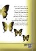 گیوا/تندیس یک پروانه/Bcover.jpg