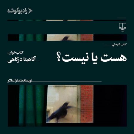 رادیوگوشه/هست یا نیست/Cover.jpg