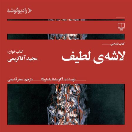 رادیوگوشه/لاشه‌های لطیف/Cover.jpg